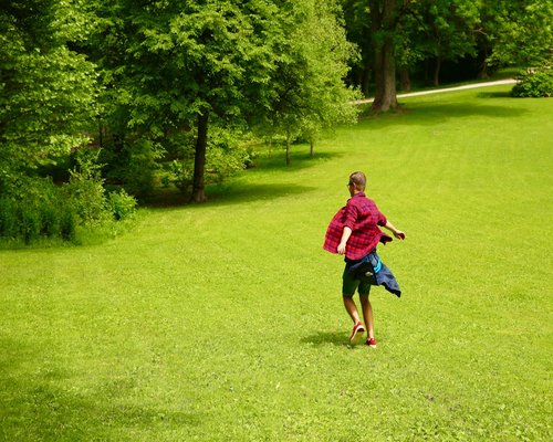Active mature man jogging lightly in a green sunny park